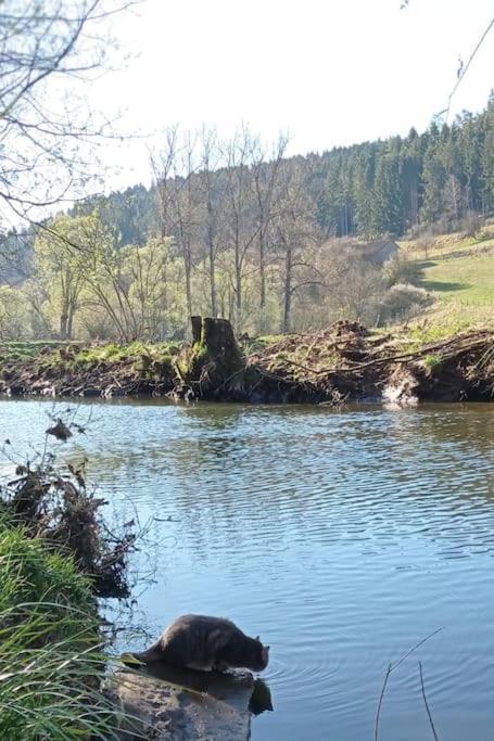 Ferienglueck Im Schwarzwald Appartement Zimmern ob Rottweil Buitenkant foto